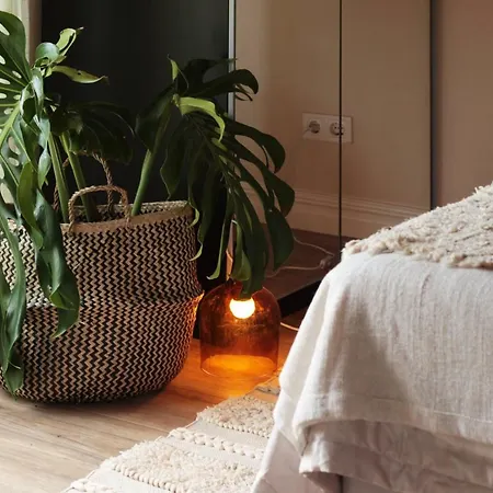 Nomad Nest Apartment